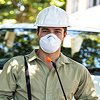 Pest Raju pest control professional