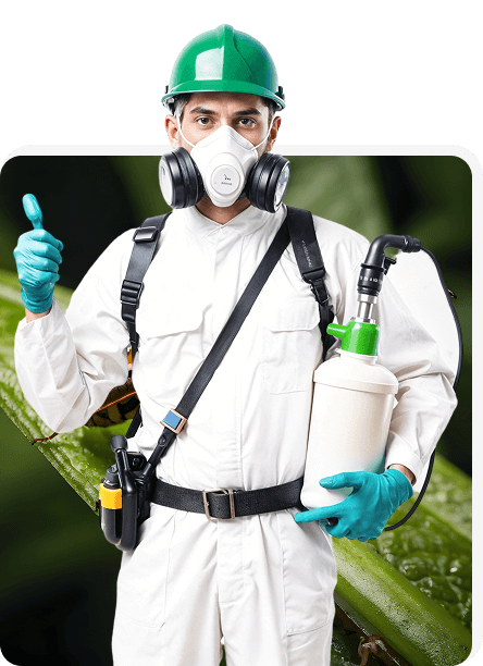 Professional pest control service